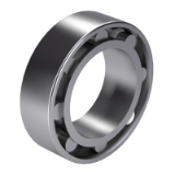 DIN 5412-4 NNK - Cylindrical roller bearings, double row, NNK