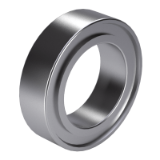 DIN 5412-4 NN - Cylindrical roller bearings, double row, with cage, increased accuracy (simplified model)