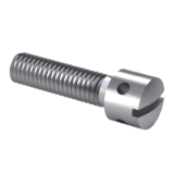 GB/T 832-1988 A - Slotted capstan screws, type A