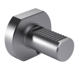 ISO 10889-8 Z2 - Tool holders with cylindrical shank - Part 8: Type Z, accessories, form Z2, blanking plugs