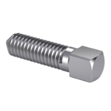 PN-M-82305:1987 - Square head set screws with cone point