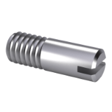 ISO 2342 - Slotted headless screws with shank