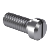 DIN 920 - Slotted pan head screws with small head