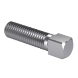 CSN 02 1121 - Square head bolts with half dog point and rounded end