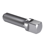 CSN 02 1122 - Square heads bolts with collar and half dog point with rounded end