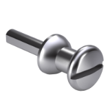 DIN 1595 H - Knob screws, form H