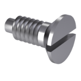 DIN 925 - Slotted countersunk flat head screws and pivot