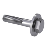 Screw and washer assembly